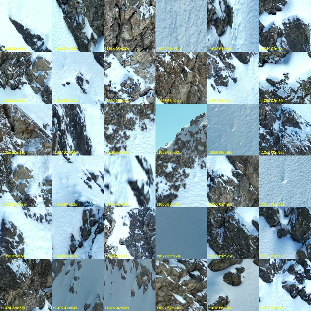 montage_29.jpg