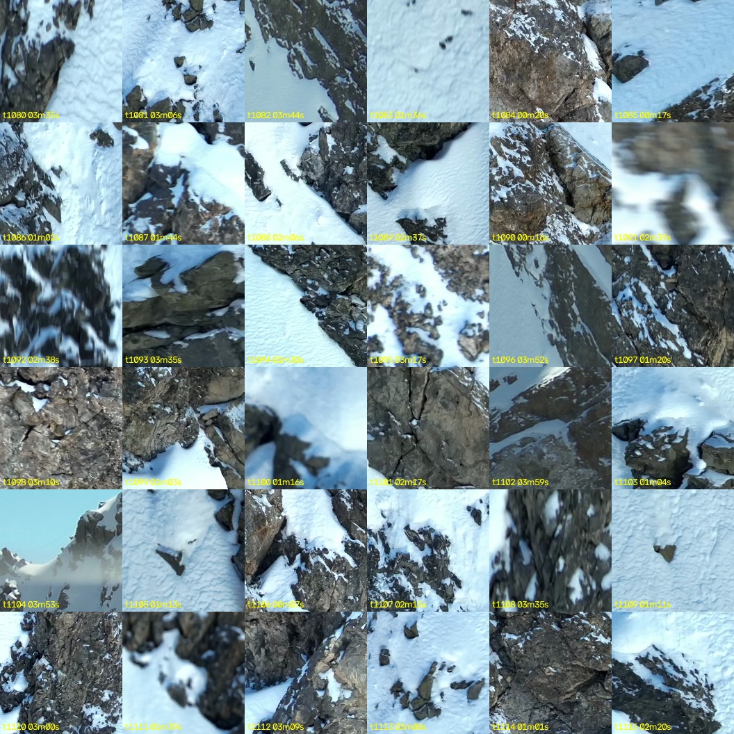 montage_30.jpg