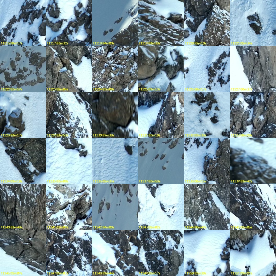 montage_31.jpg