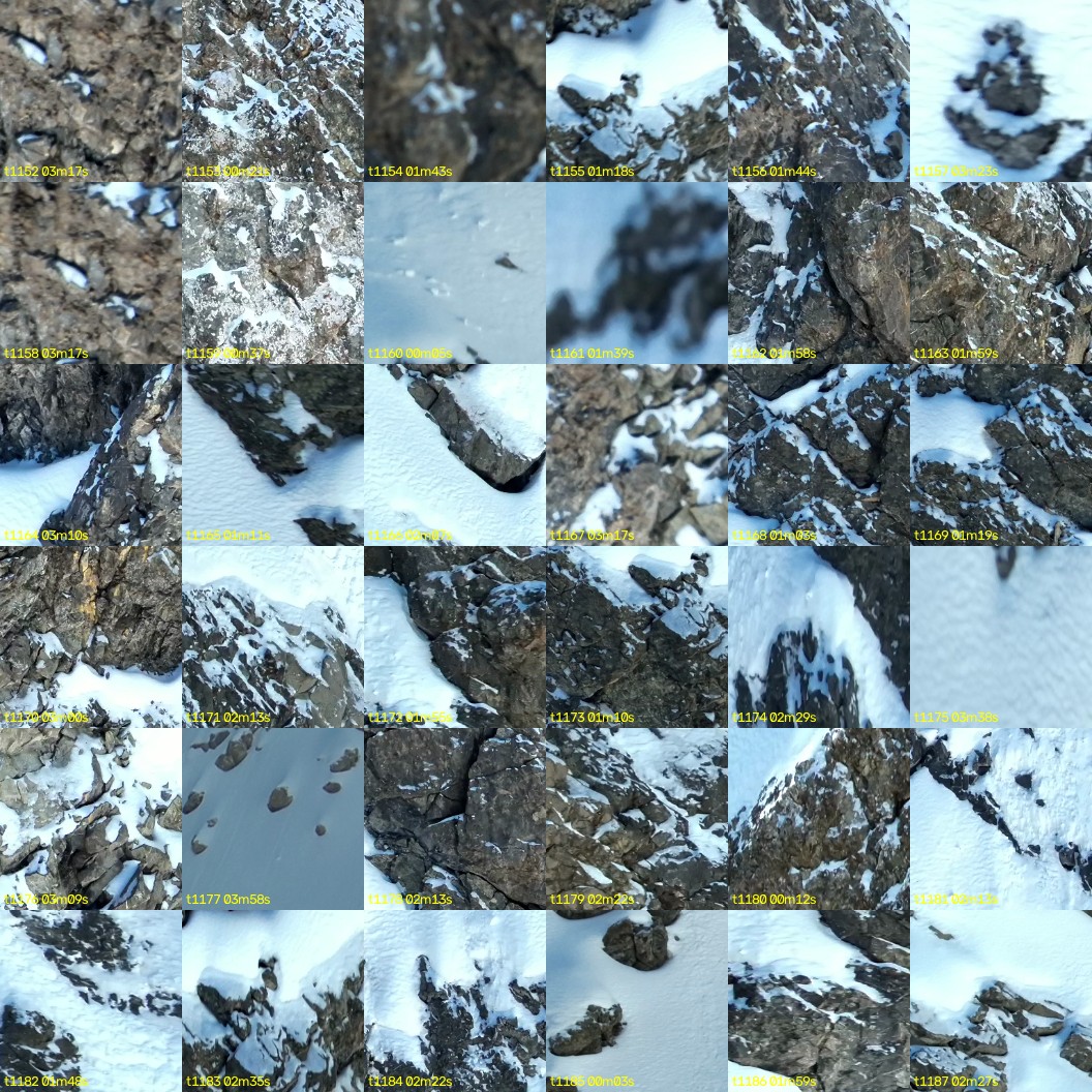 montage_32.jpg