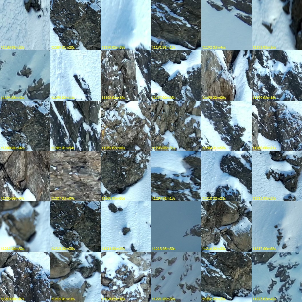 montage_33.jpg