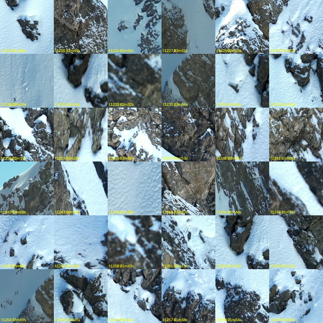 montage_34.jpg