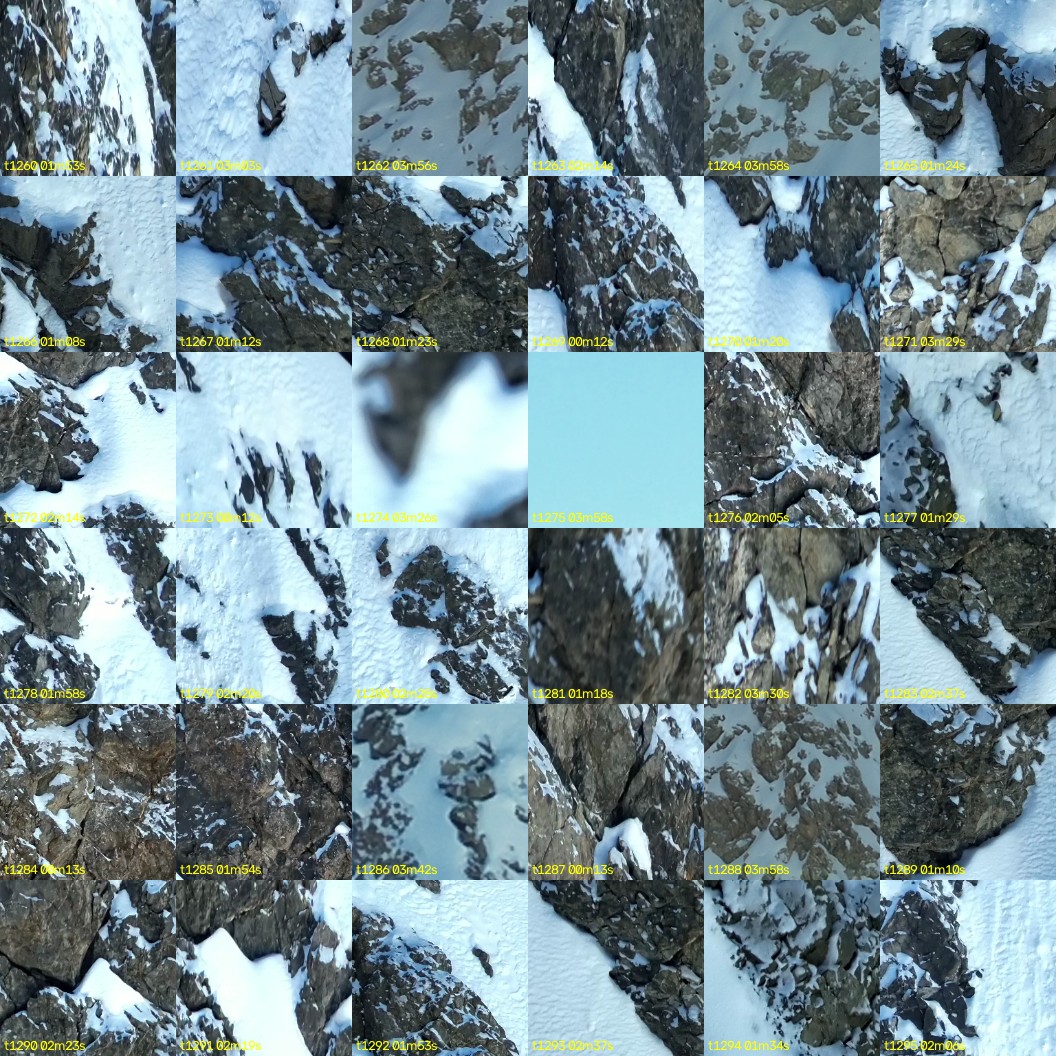 montage_35.jpg