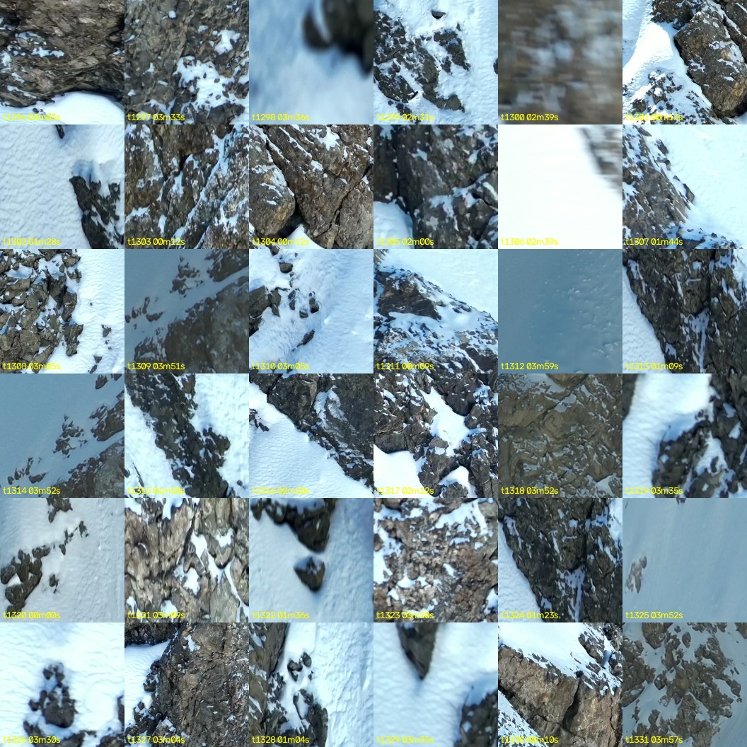 montage_36.jpg
