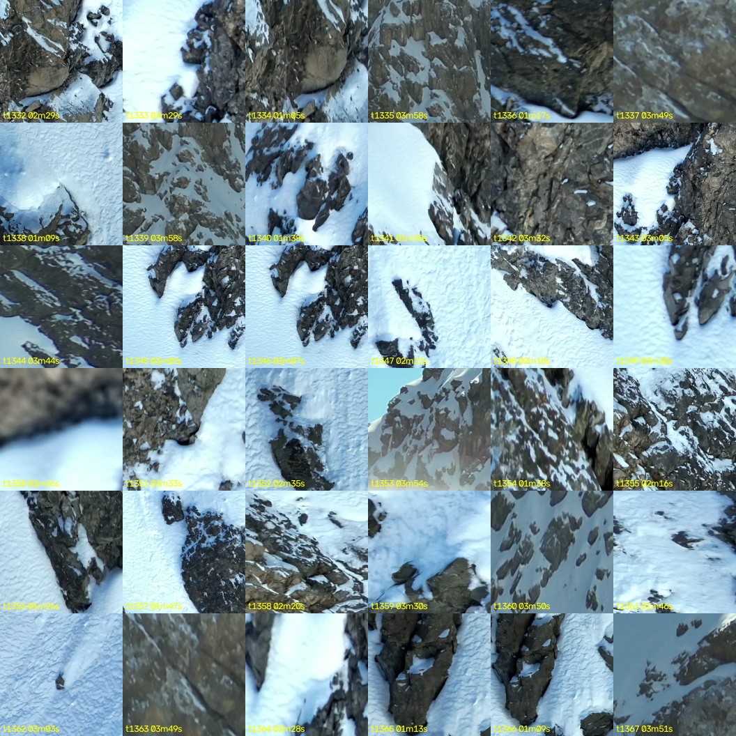montage_37.jpg