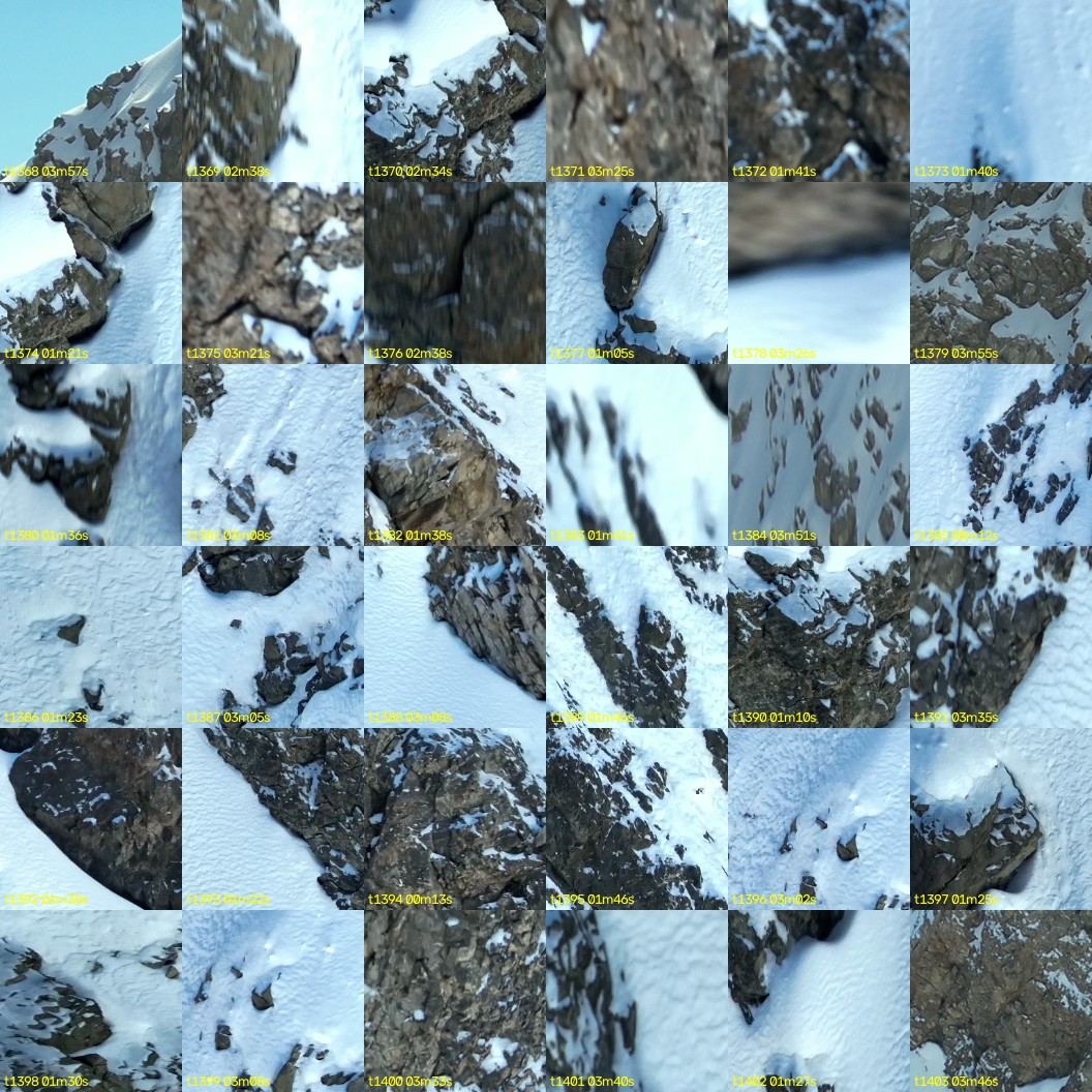 montage_38.jpg