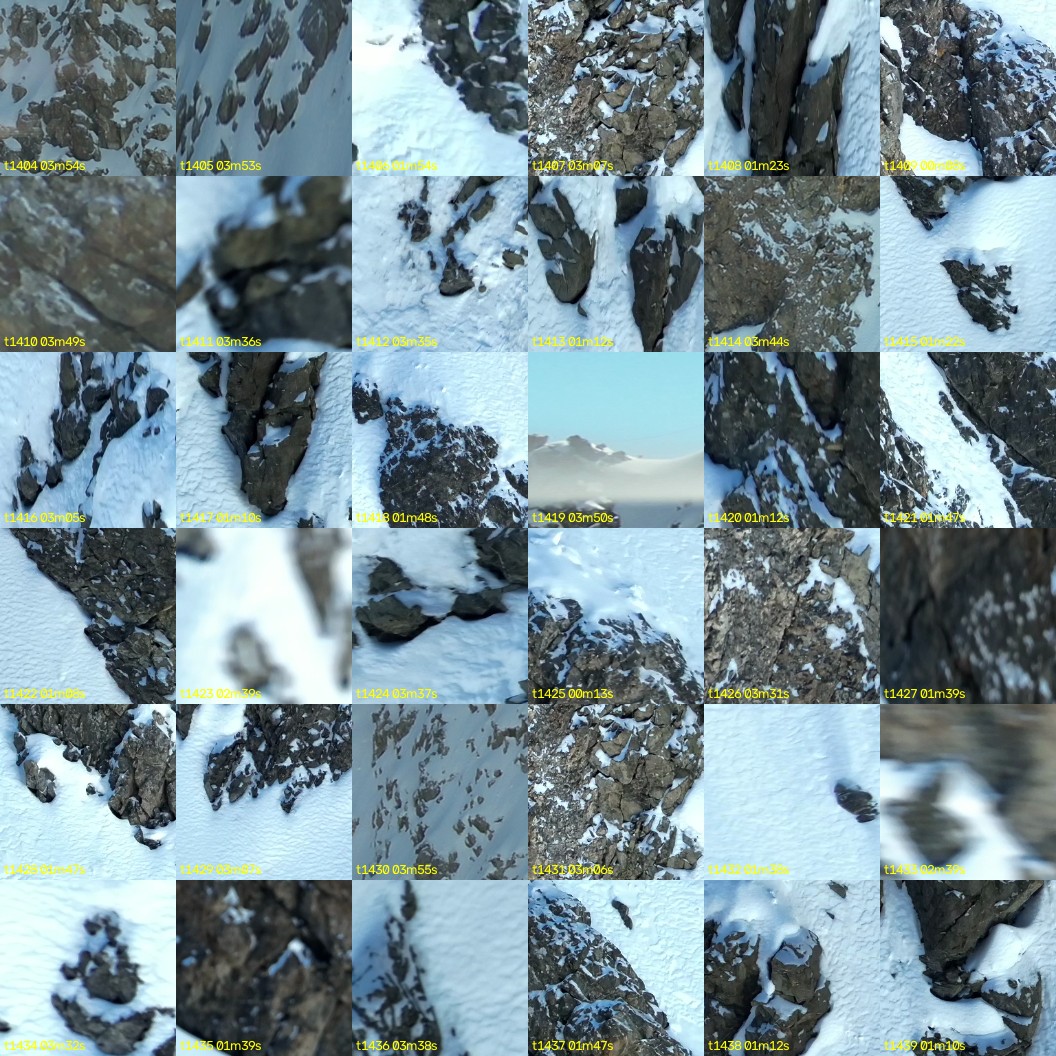 montage_39.jpg