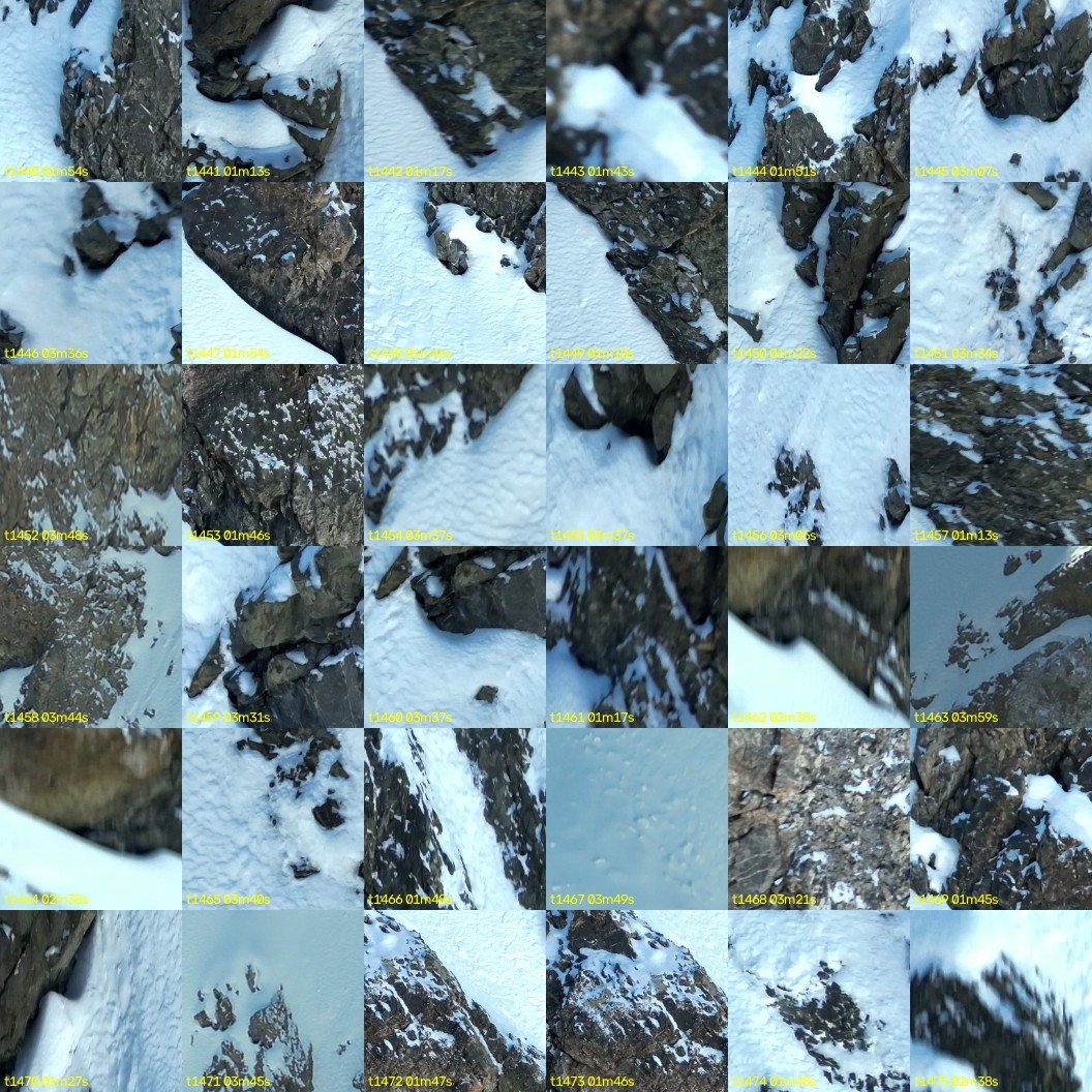 montage_40.jpg