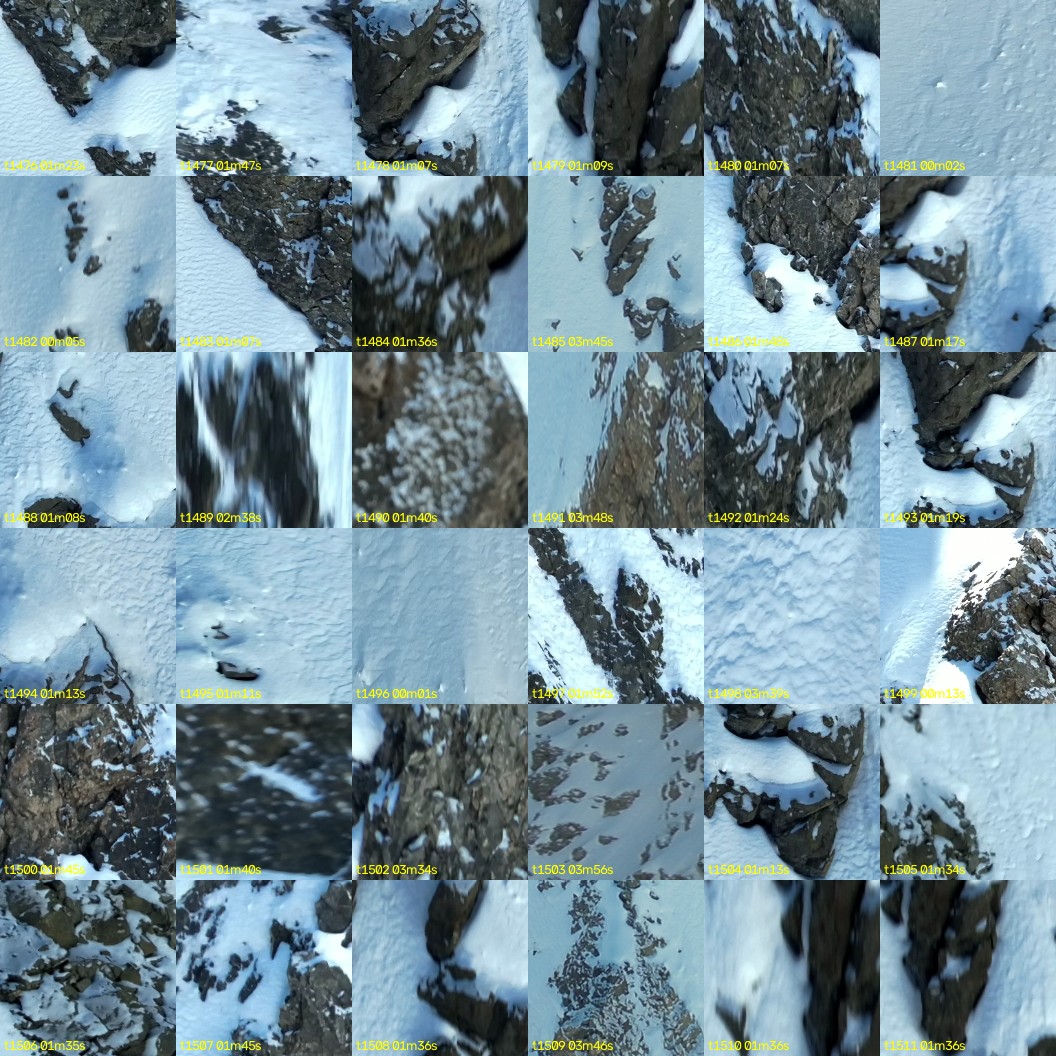montage_41.jpg