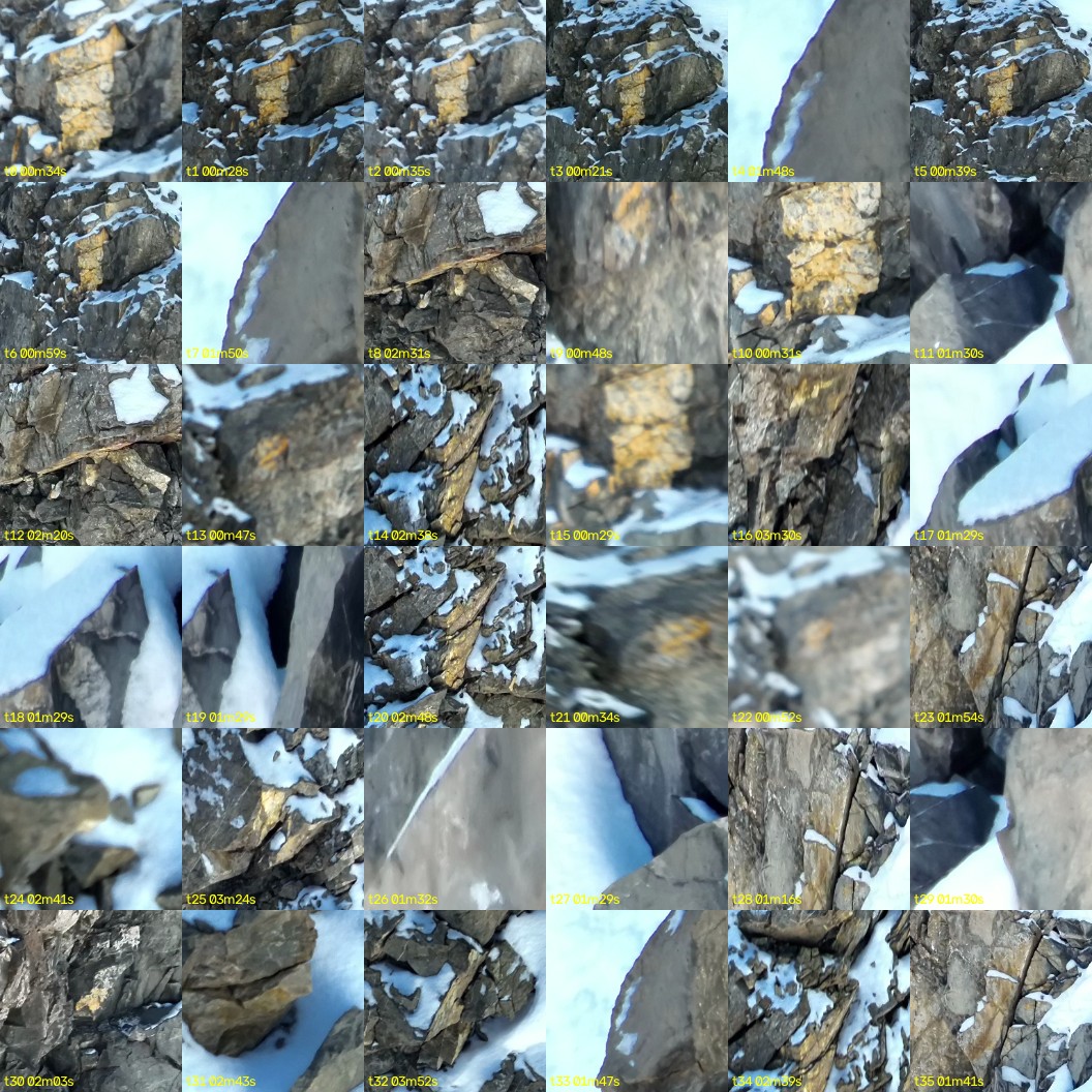 montage_00.jpg