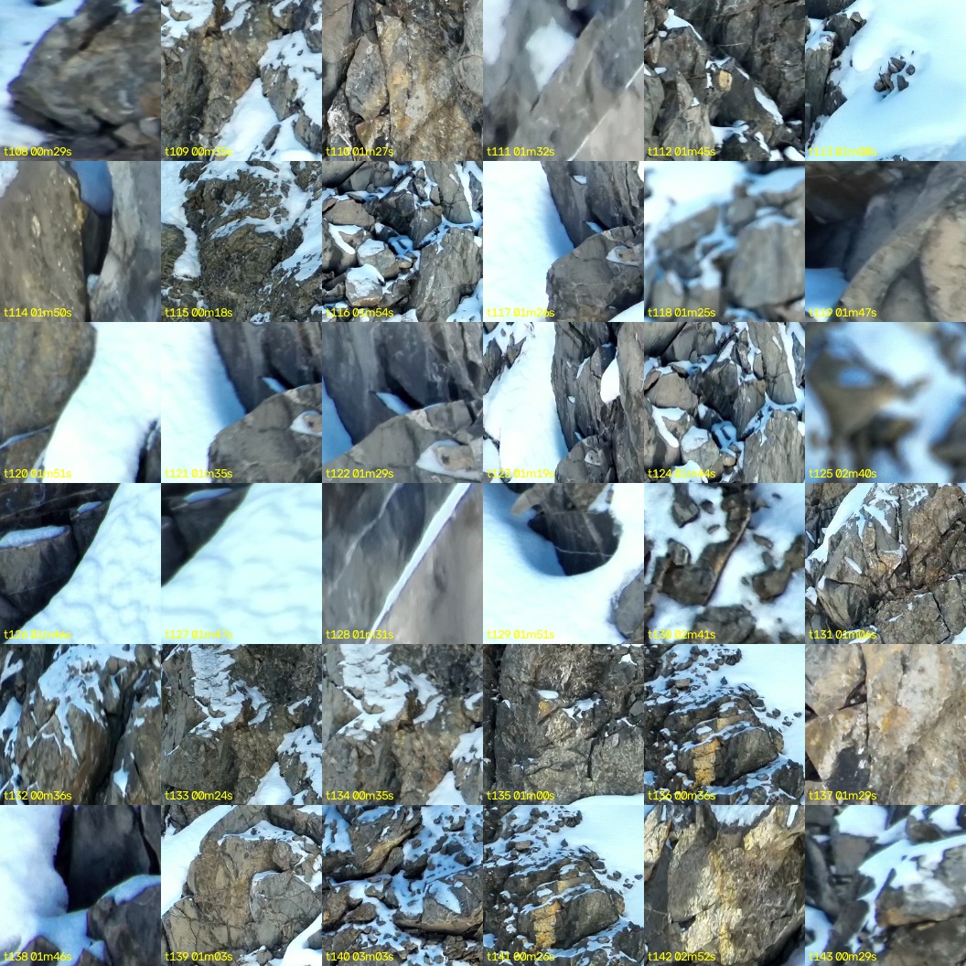 montage_03.jpg