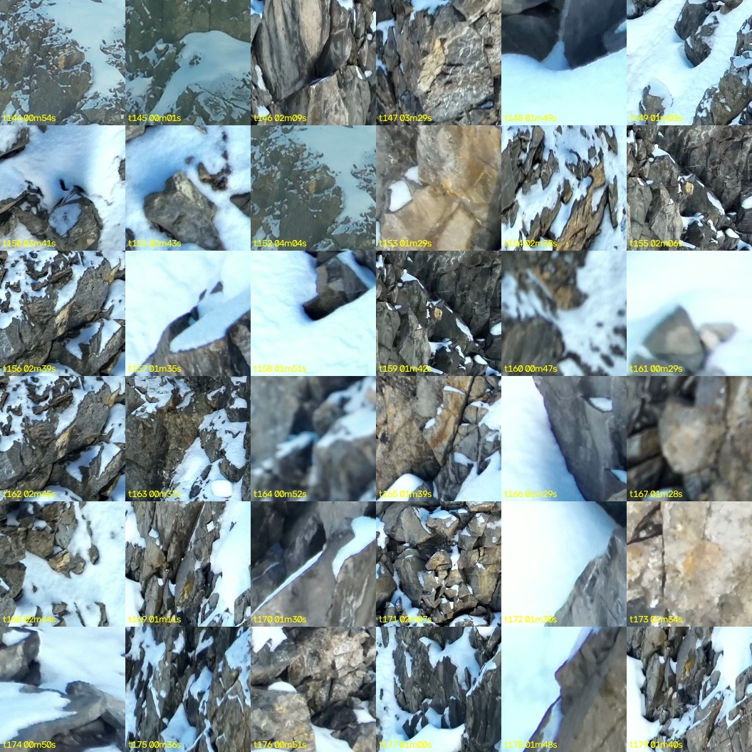 montage_04.jpg