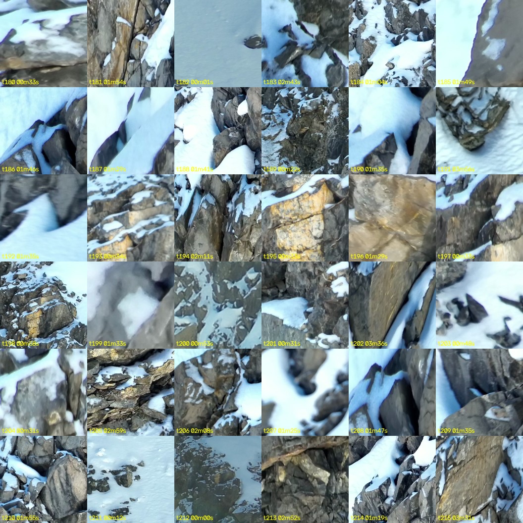 montage_05.jpg