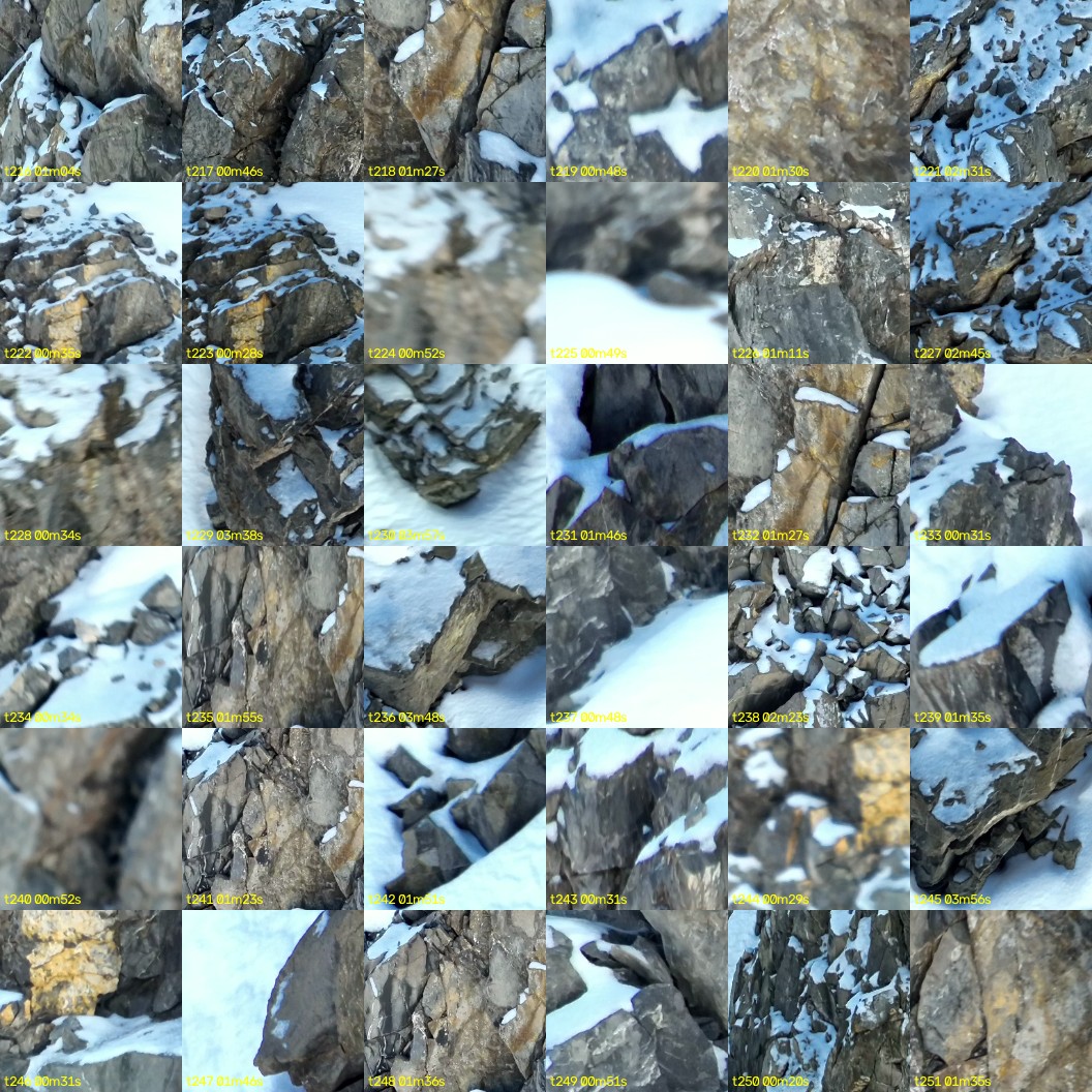 montage_06.jpg