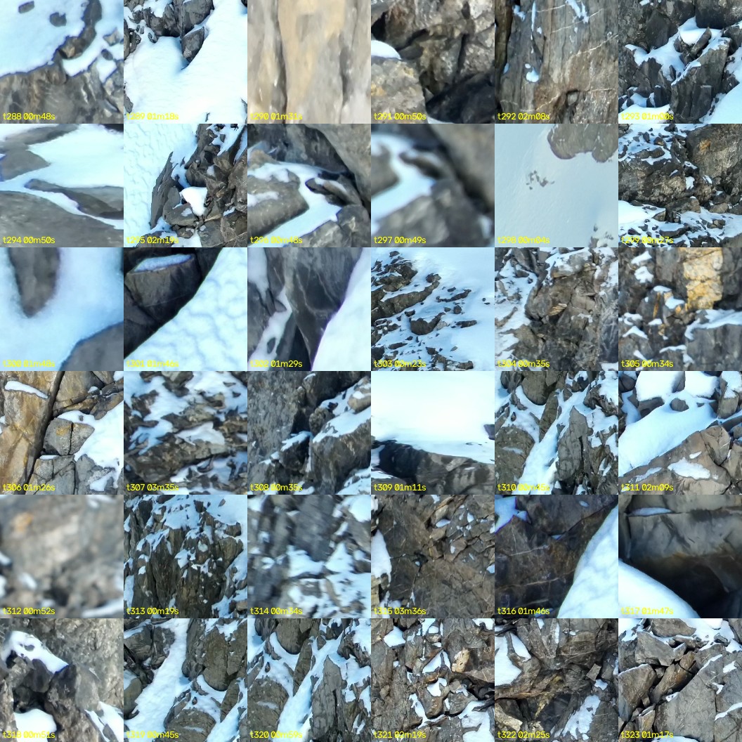 montage_08.jpg