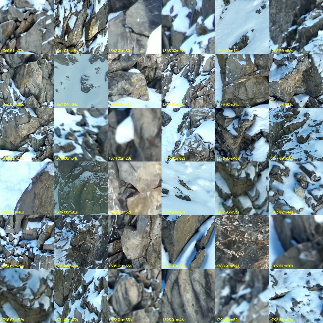 montage_10.jpg
