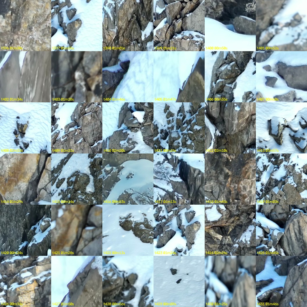 montage_11.jpg