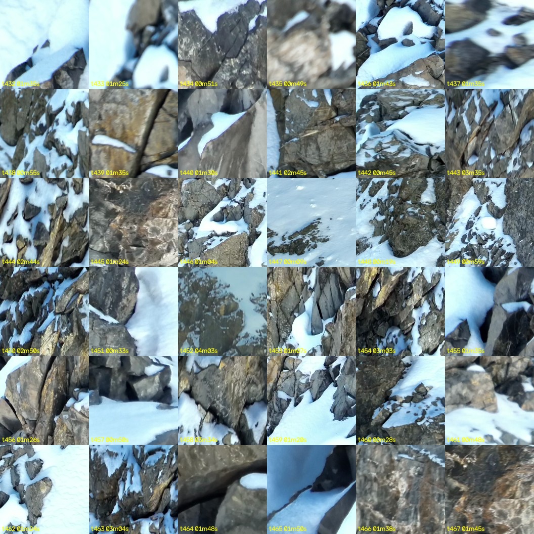 montage_12.jpg