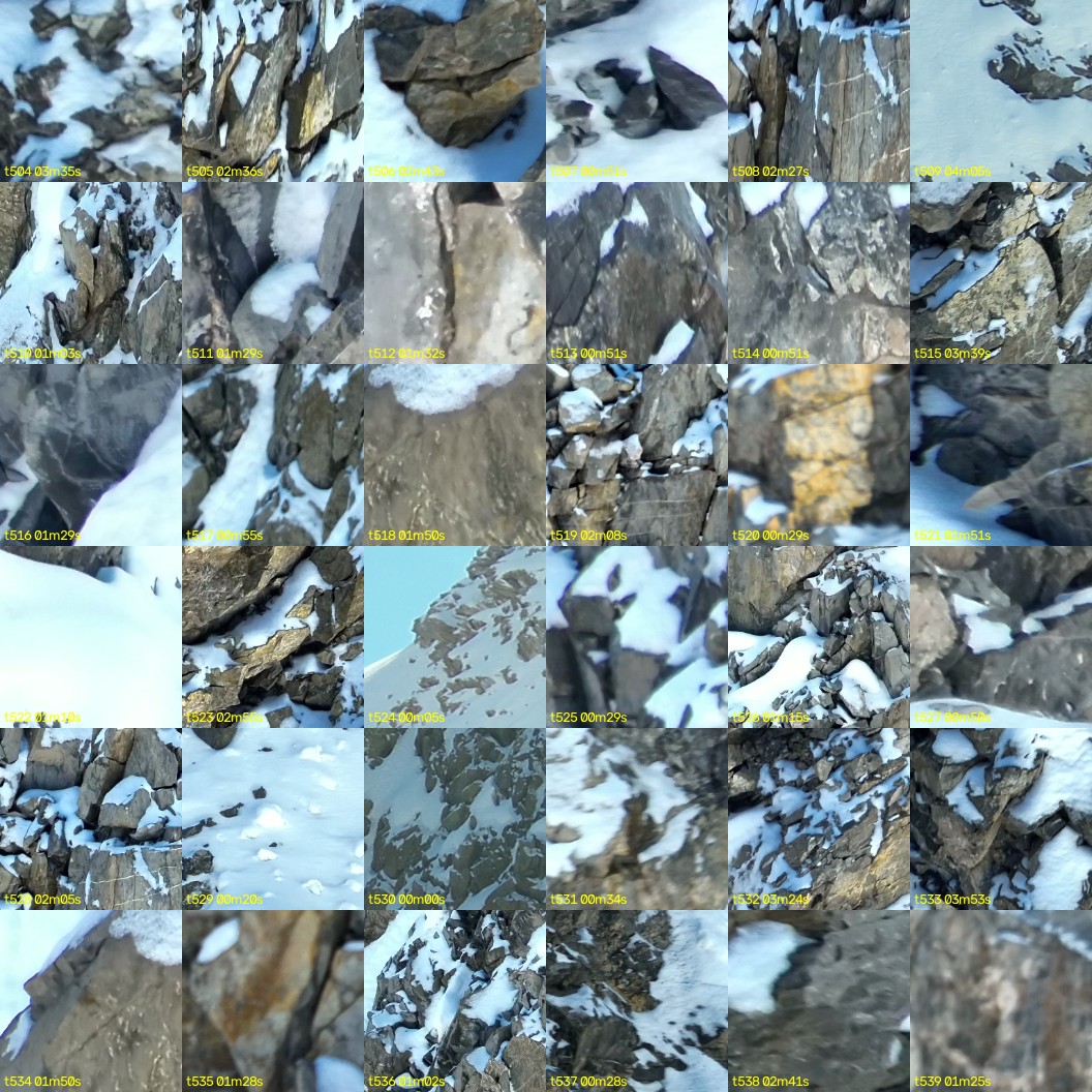 montage_14.jpg