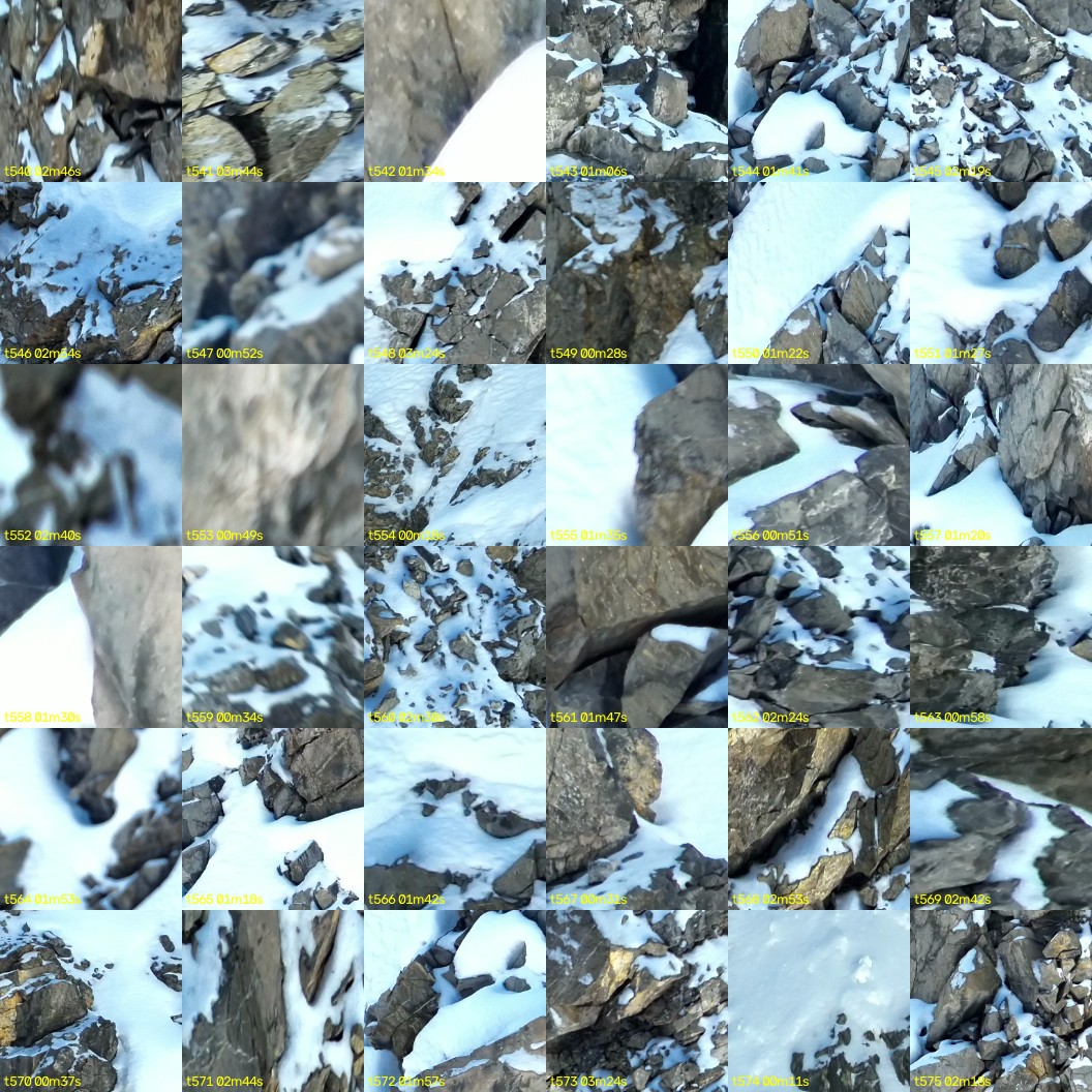 montage_15.jpg