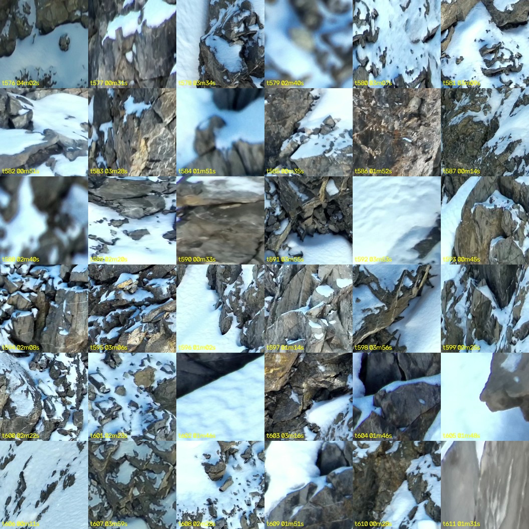 montage_16.jpg