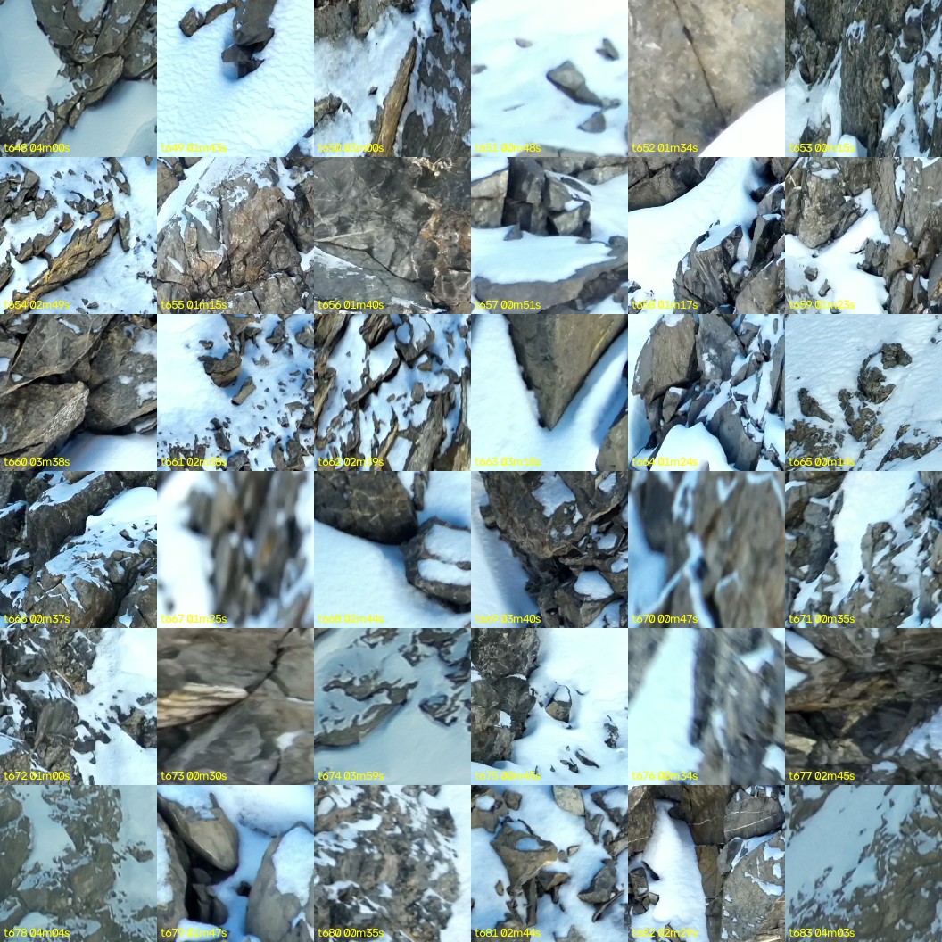 montage_18.jpg