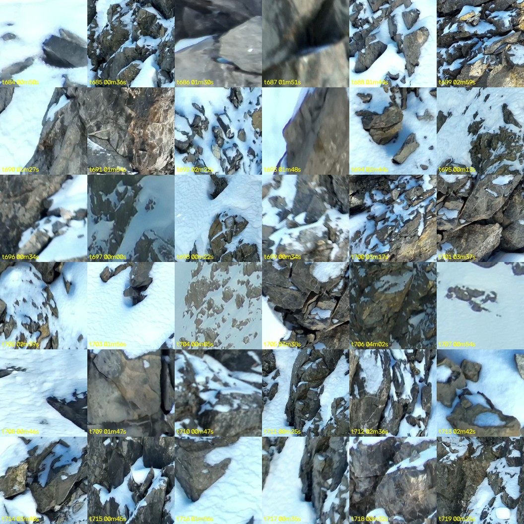 montage_19.jpg