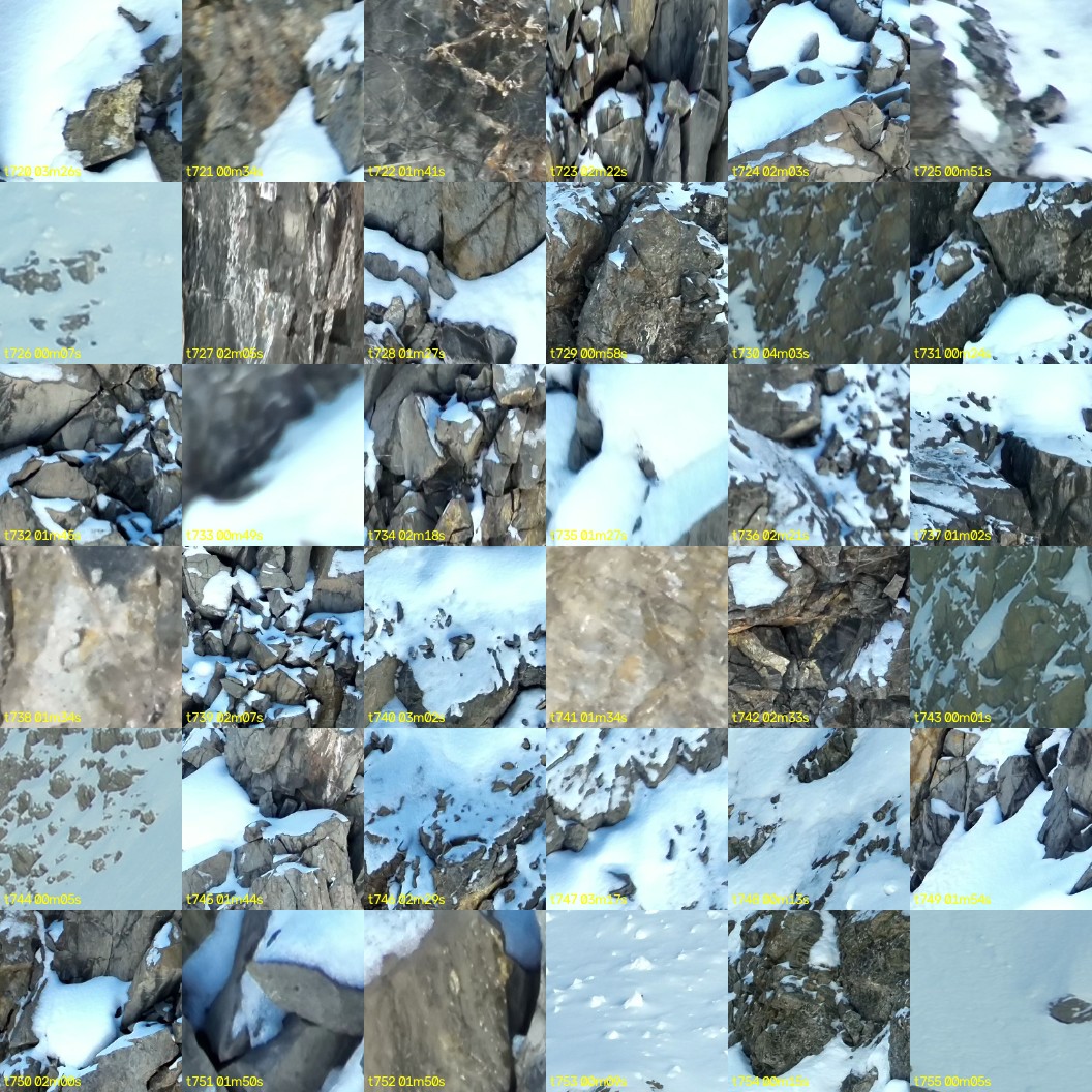 montage_20.jpg