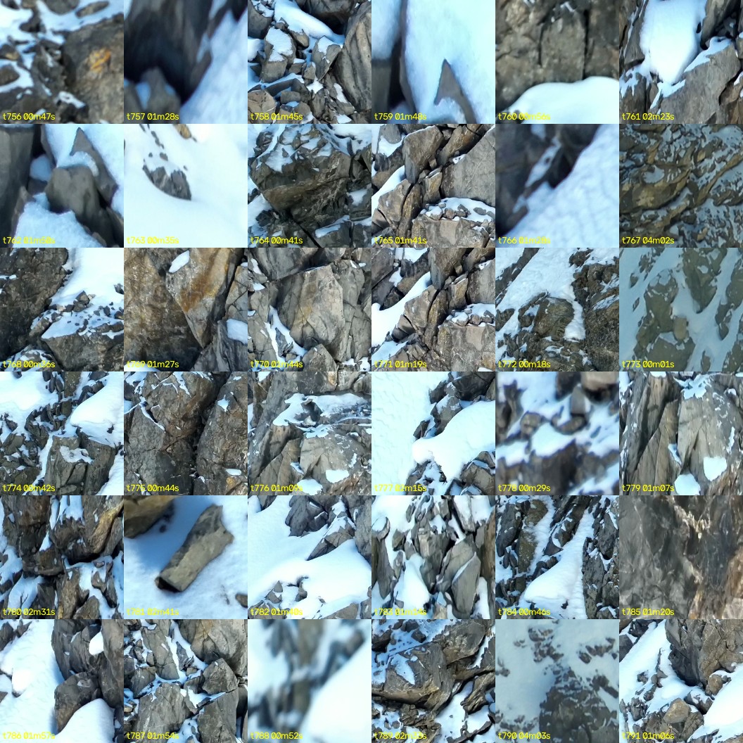 montage_21.jpg