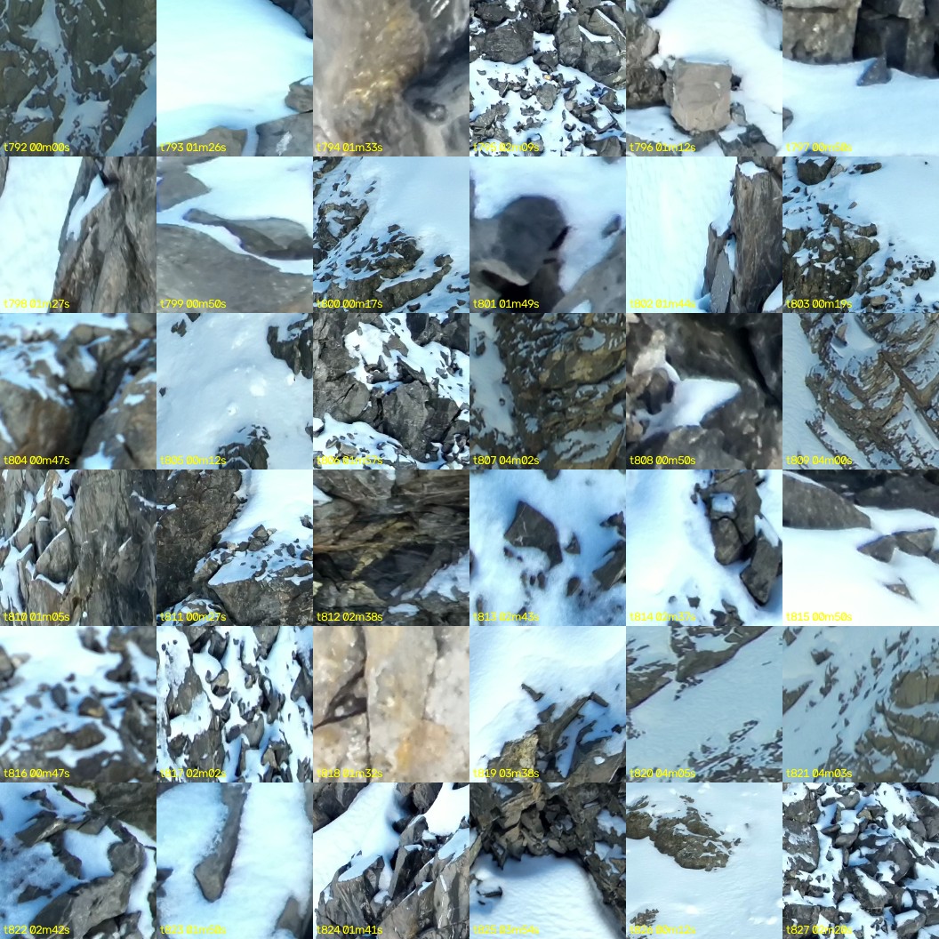 montage_22.jpg