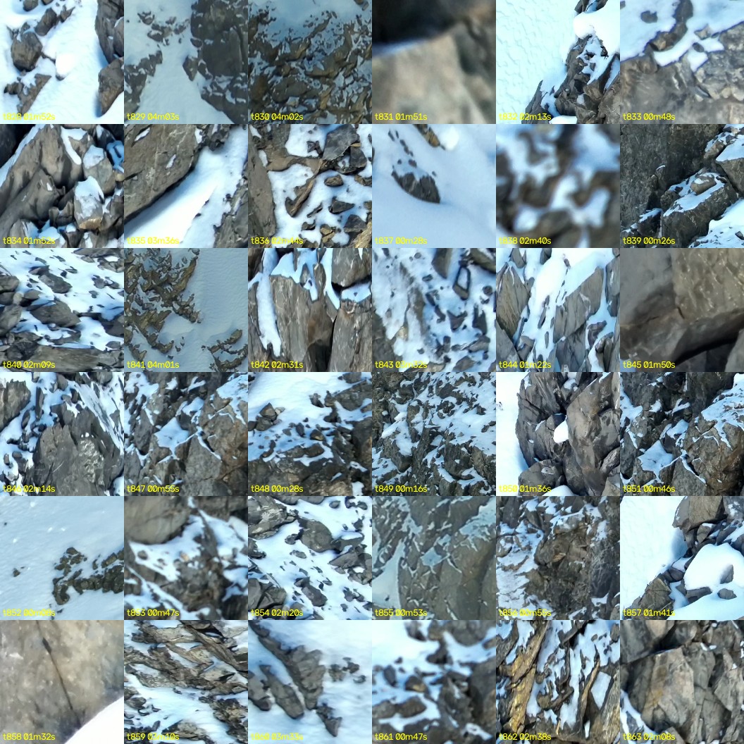 montage_23.jpg