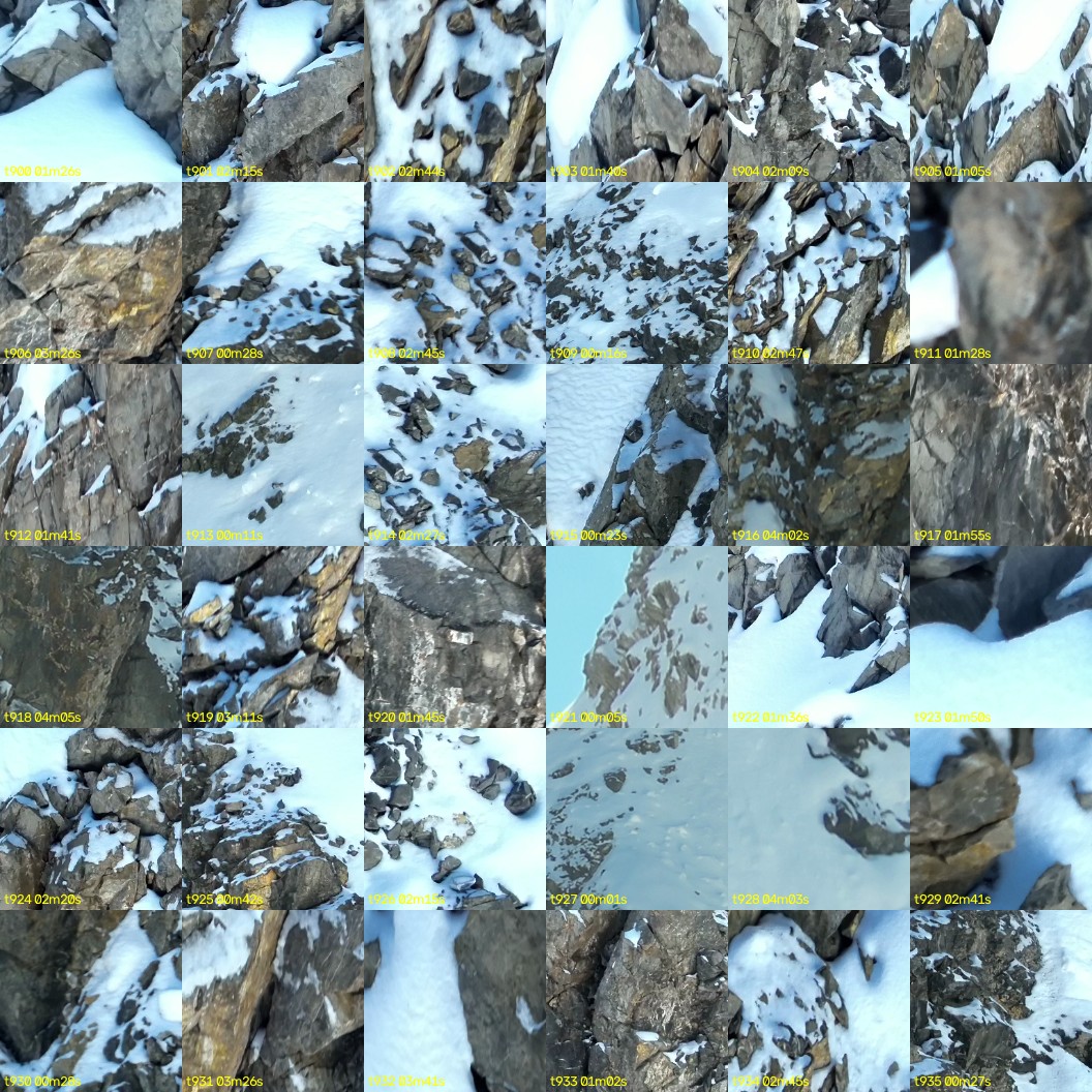 montage_25.jpg