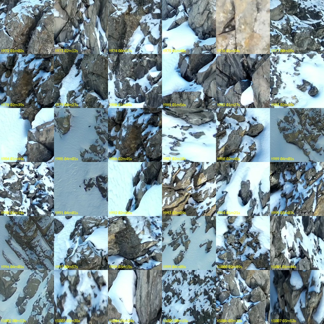 montage_27.jpg