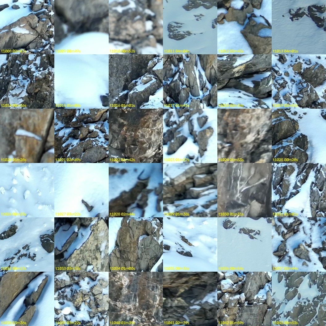 montage_28.jpg