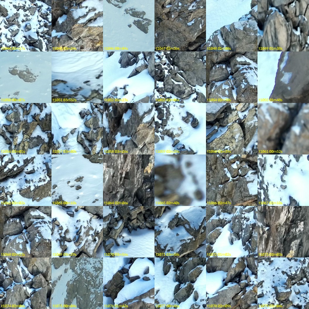 montage_29.jpg