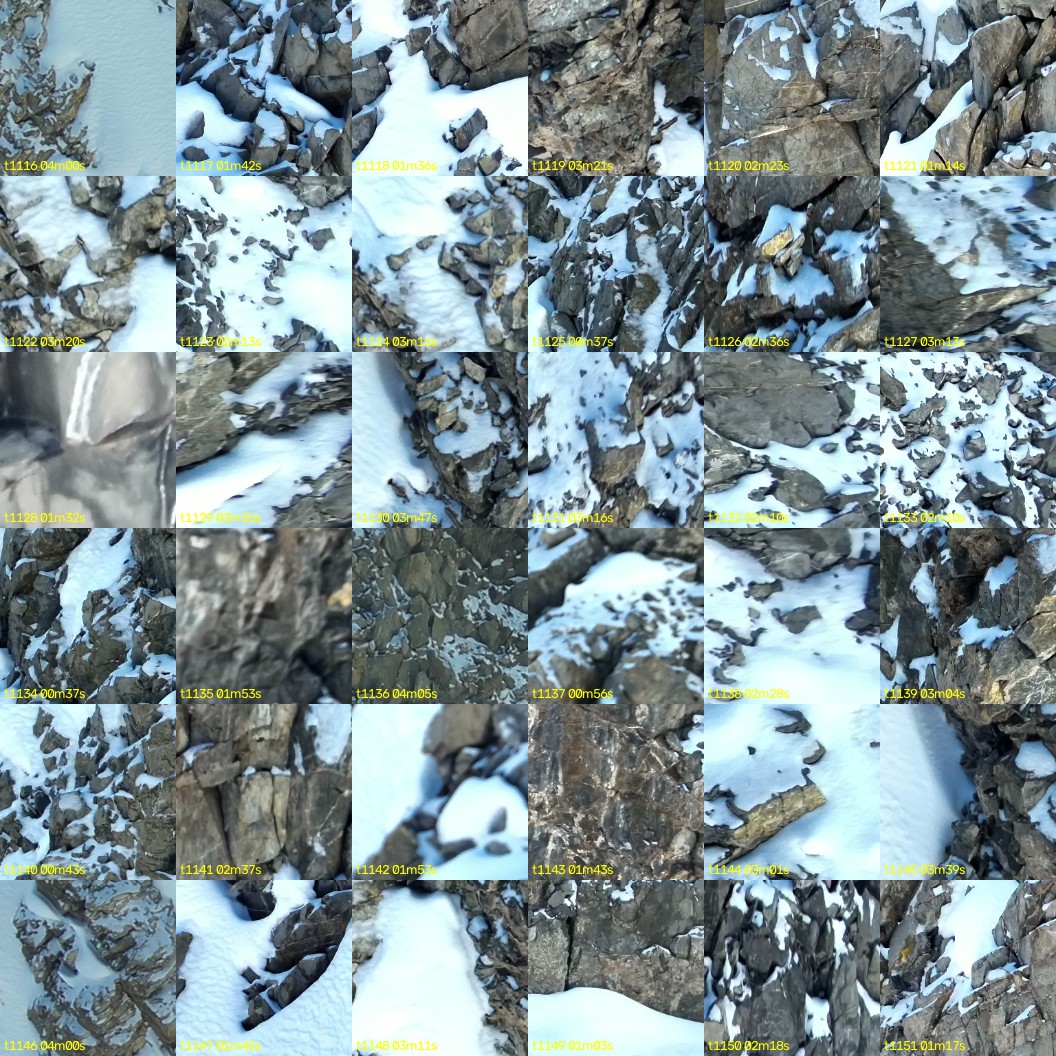 montage_31.jpg