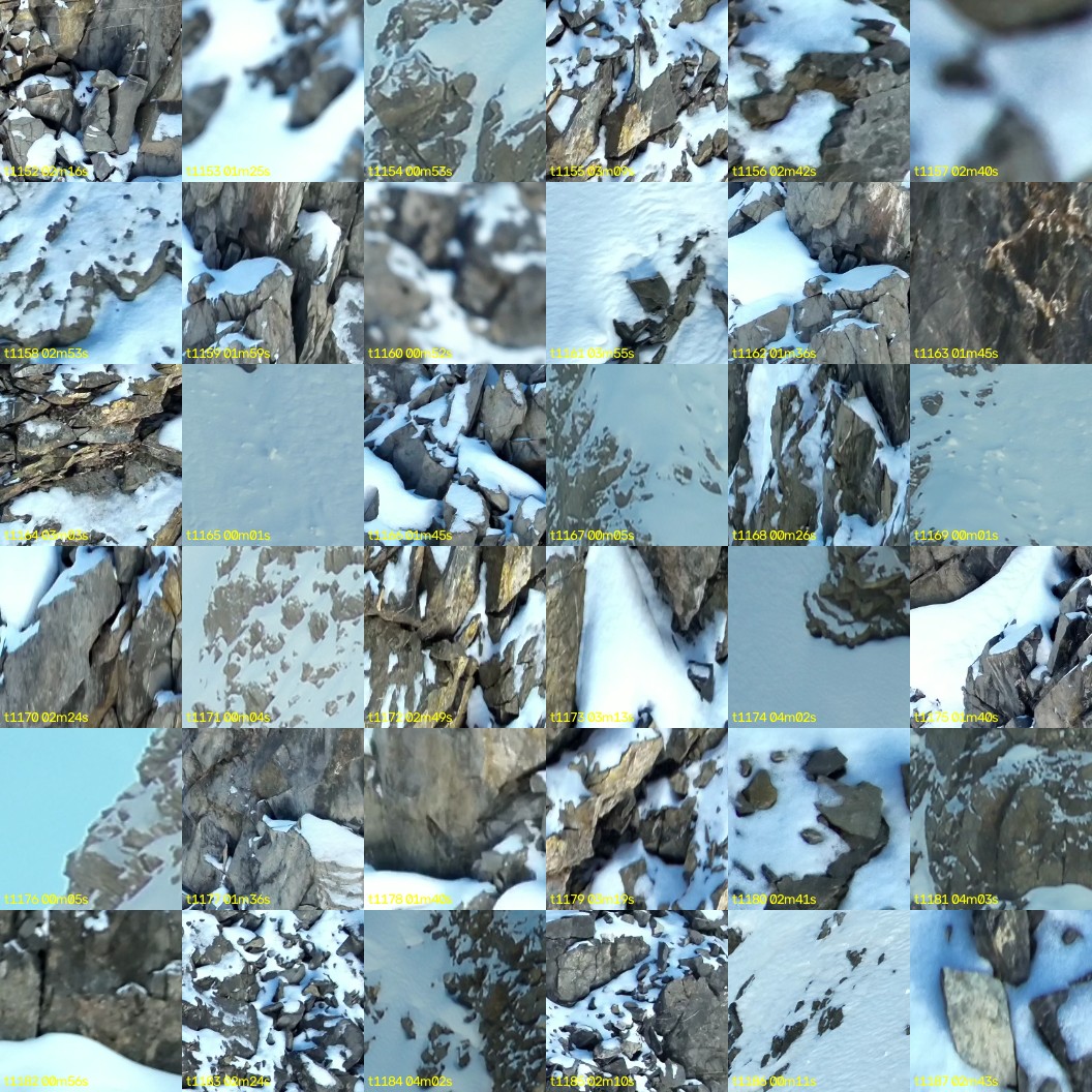montage_32.jpg