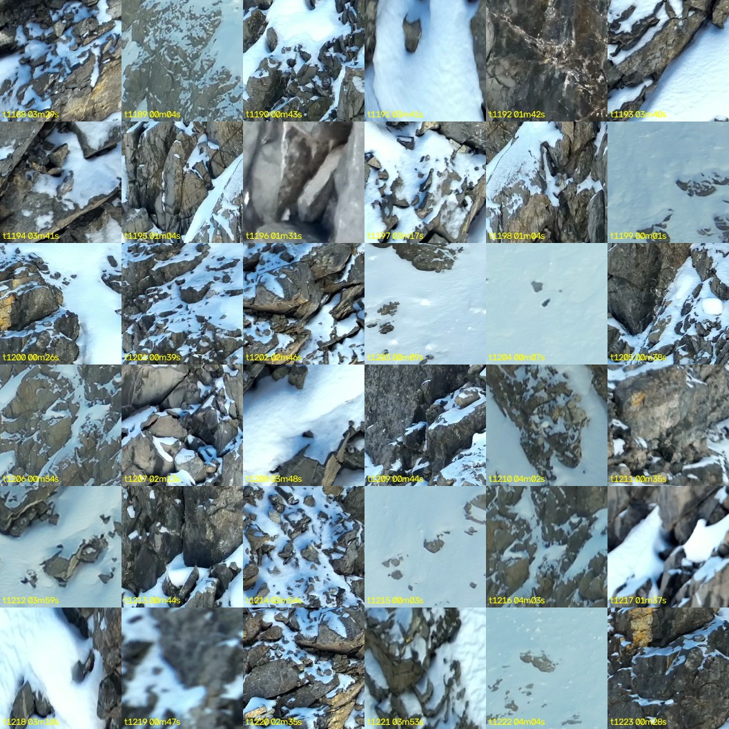 montage_33.jpg