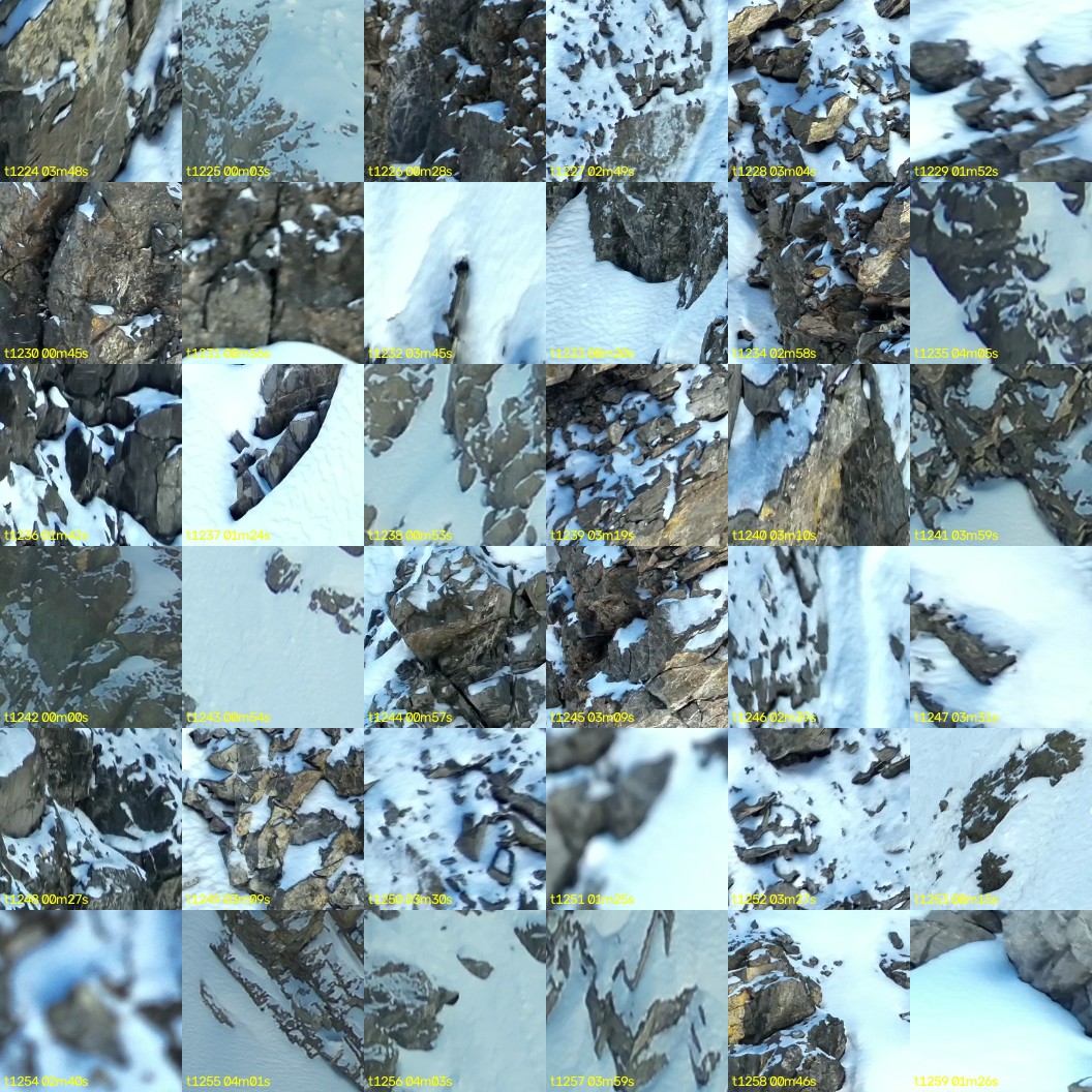montage_34.jpg