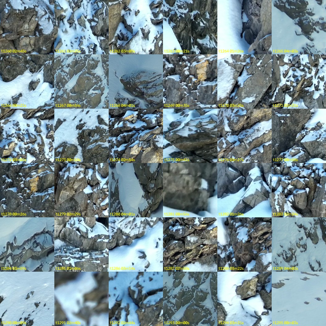 montage_35.jpg