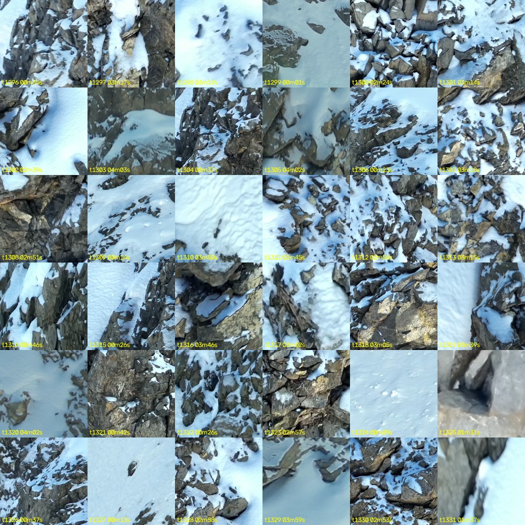 montage_36.jpg