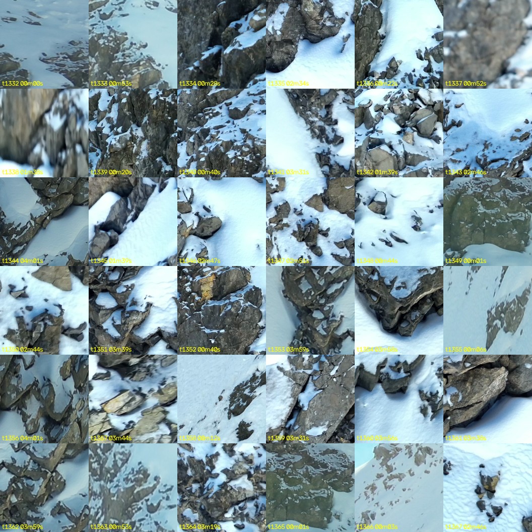 montage_37.jpg