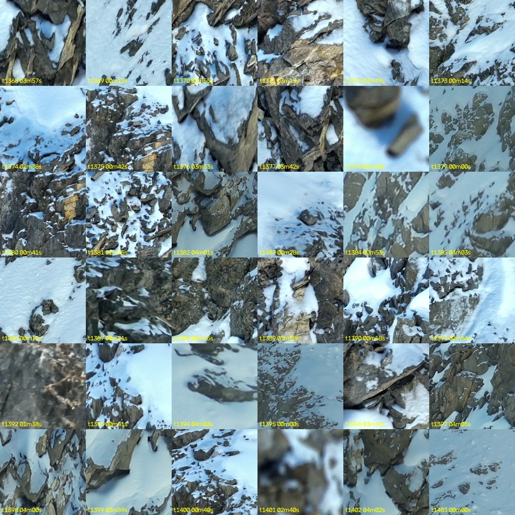 montage_38.jpg
