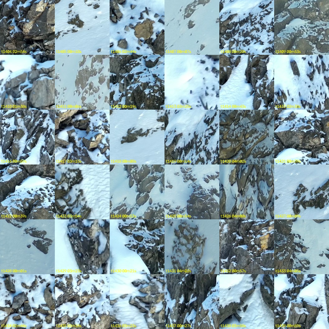 montage_39.jpg