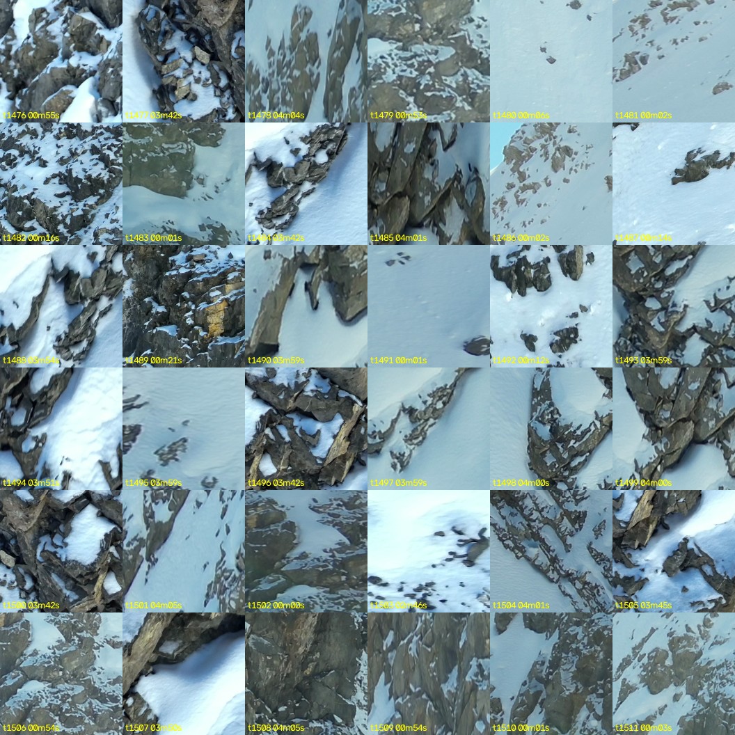 montage_41.jpg