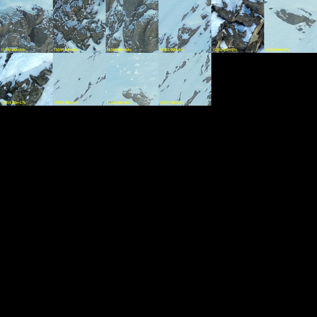 montage_43.jpg