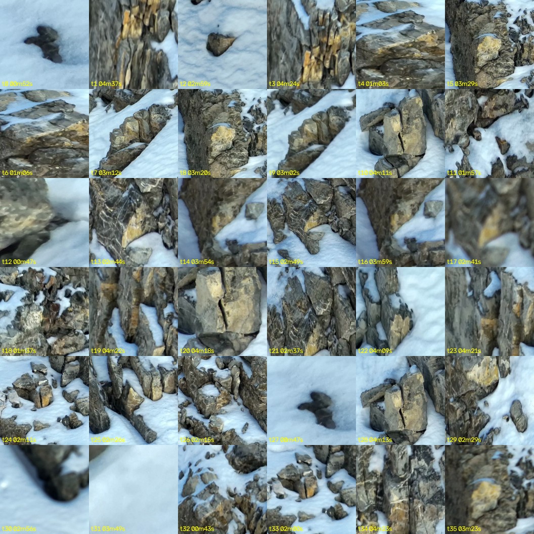 montage_00.jpg