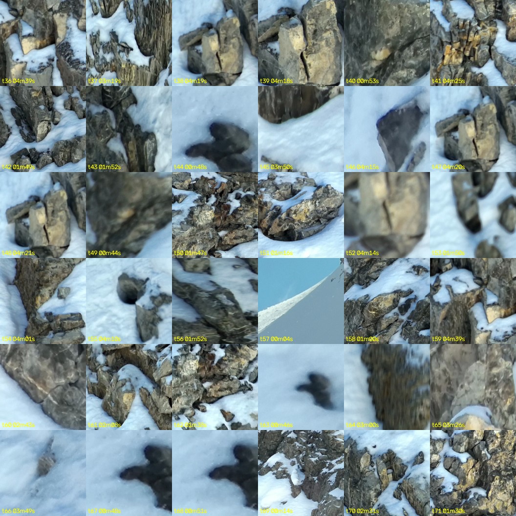 montage_01.jpg