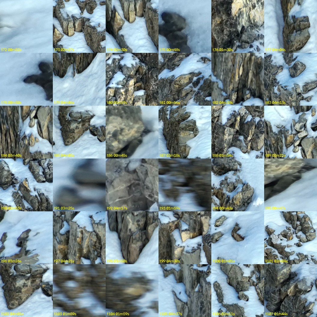 montage_02.jpg