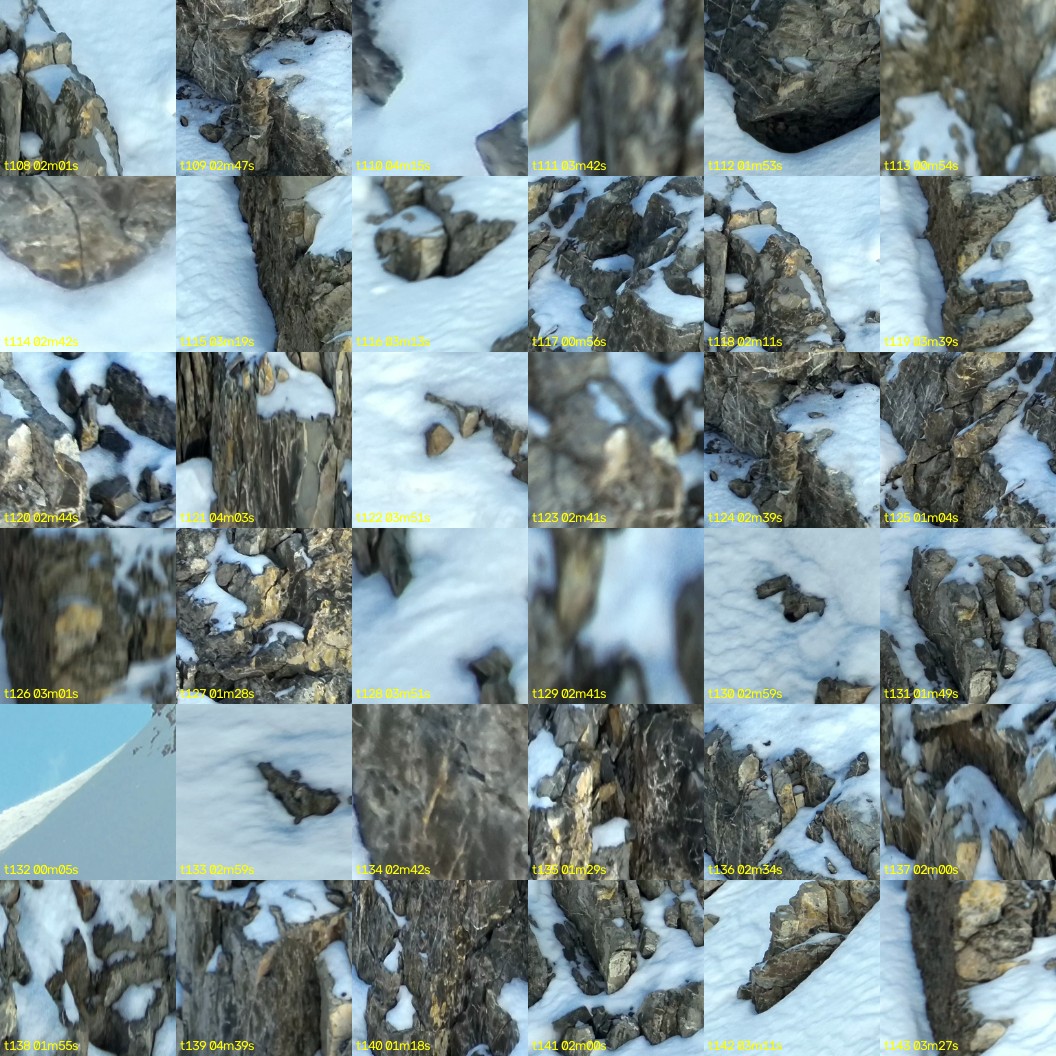 montage_03.jpg